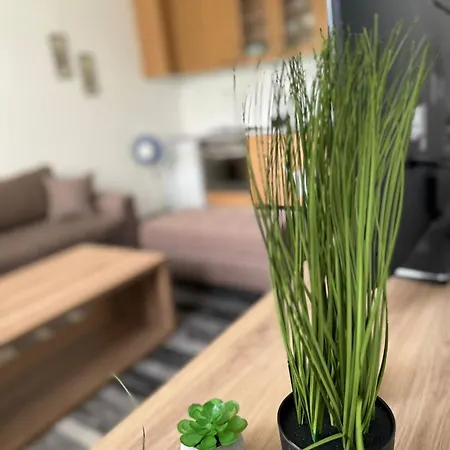 Apartman Sarajevo Daire *